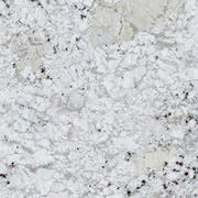 fantastic-white