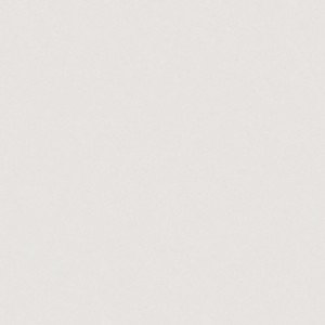 4600 Organic White Casarstone image