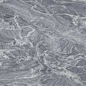  Silver Paradiso
